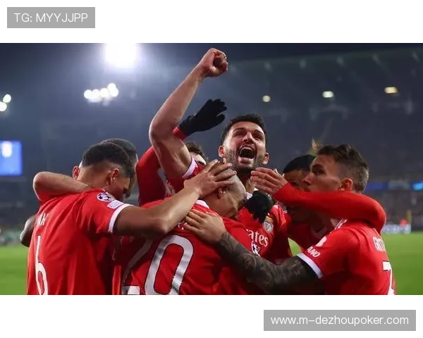 柏林联合主场流浪猫闯入赛场，比赛中断十分钟